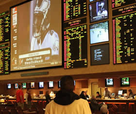 Sports Betting in Hawaii